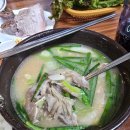 블루리본/현지인맛집/원조제주도백록담통도야지/수육맛집/목련시장