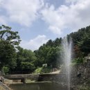 늘품 | 장흥계곡 백숙, 돌고개늘품 예약 후기 가격 메뉴 평상