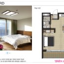 여주-1134 이미지