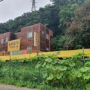 놀러오개 애견유치원 호텔 고기점 이미지