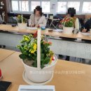 경산 꽃 다육 이미지
