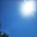 영부농장 이미지