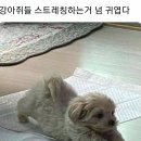 뭉탱이