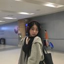 이채연 카카오 검색결과