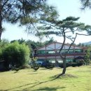 로뎀나무아래 이미지