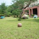 가평향기펜션 이미지