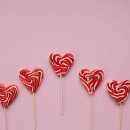 금산헤르쯔 동물병원 이미지