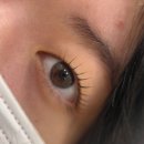 더나 | 자연스럽게 또렷한 눈매 완성! 대방동속눈썹 ‘오늘더나은’ 후기