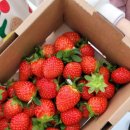 은우농장 이미지