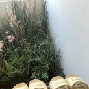 진주남중학교 | [진주 필라테스] 진주 칠암동 필라테스 추천 ‘오렌지필라테스’