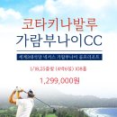 코타제주 이미지