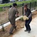 가드닝과 정원만들기 이미지