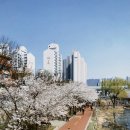 아바나(ABANA)