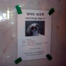 신광동물병원 이미지