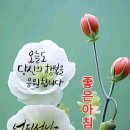 2월 6일 (화요일) 아침인사~ 이미지