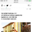 강동구청 성안별관 이미지