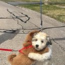 차가정의학과의원 이미지