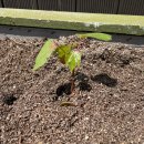 목화유치원 이미지