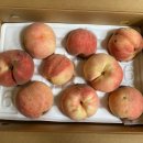 영수농장 이미지