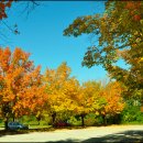 가을하늘 이미지