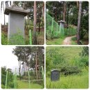 화릉군묘 이미지