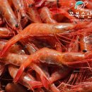 김밥W - 고양시 일산동구 정발산로 38 | 김밥W