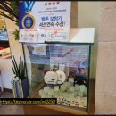 뉴종로안경보청기 이미지