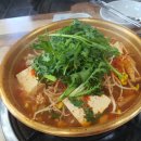 영덕사랑동물병원 이미지