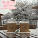 수원시 팔달구 향교로137번길 | 수원 벚꽃카페 행궁동 • 팔달산 슬로우 우즈 벚꽃뷰 카페 (26년 4월 실시간 벚꽃 개화, 주차꿀팁)