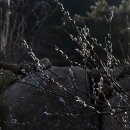 지리산청산별곡