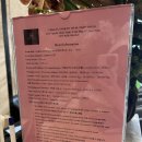 써니존 사우나 | 나트랑 0.5박 가성비 숙소 벤타나 나트랑 호텔에서 공항픽업과 숙박 조식 후기