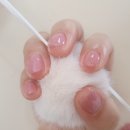 명륜2동 행정복지센터 1층 이미지