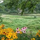 소이체육공원 이미지