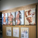 젬스톤 피트니스 해운대 장산점 이미지