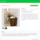 더 헤이븐 이미지