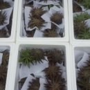 청석농장 이미지