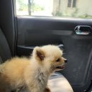 삽시도우리펜션 이미지