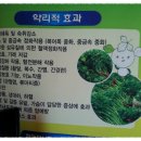 탐복미나리가든 이미지