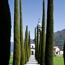 그린카사 이미지