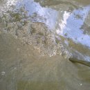 대지영농조합법인 이미지