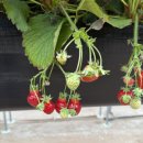 율하농장 이미지