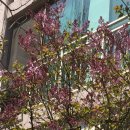 한경행정사사무소 이미지