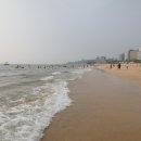 대천해수욕장 청해횟집 이미지