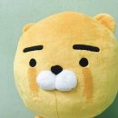 (주)부지런 이미지