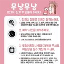 창원고양이미용 무냥무냥 이미지