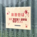 김포국제조각공원 | [김포 가볼만한곳] 김포국제조각공원, 김포평화문화관 체험 후기 (수영장, 썰매장)