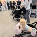 일산 메가주 펫페어 후기1 : 강아지와 함께 다녀온 킨텍스 펫페어, 챙겨가야 할 것.