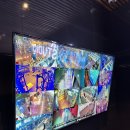 바디채널 전주송천점 | 전주 헬스장/전주헬스/전주pt/ 송천동 헬스 바디채널 전주 송천점