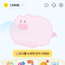 도니팜