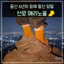 동상세탁 | 메리노울 등산양말 중목 등산 고인물의 최애 운동 양말 산로 착용 후기
